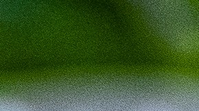 Halibut al horno con papas