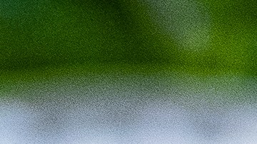 Halibut al horno con papas