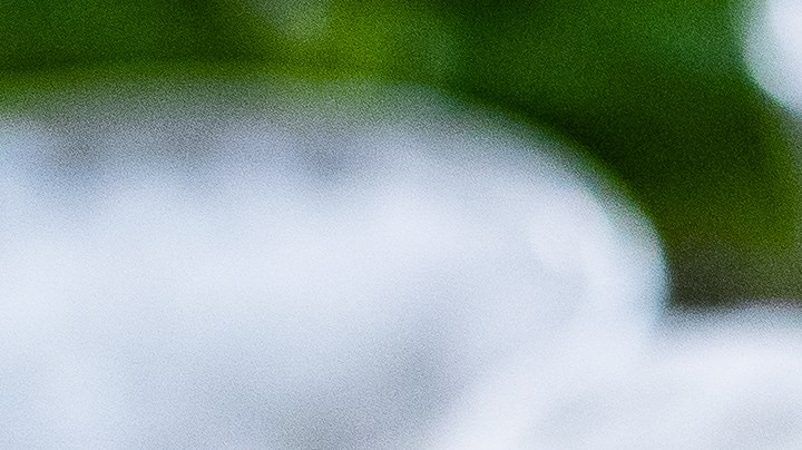 Halibut al horno con papas