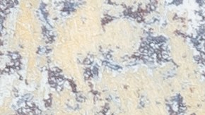 Muslos de pollo a la jardinera