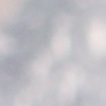 Muslos de pollo en salsa de coco y curry