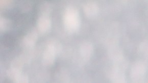 Muslos de pollo en salsa de coco y curry