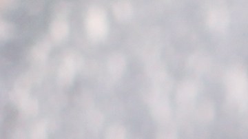 Muslos de pollo en salsa de coco y curry