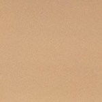 Muslos de pollo fritos estilo sureño