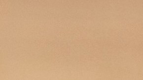 Muslos de pollo fritos estilo sureño