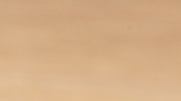 Muslos de pollo fritos estilo sureño