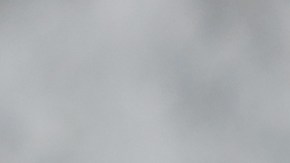 Muslos de pollo glaseados con miel y mostaza