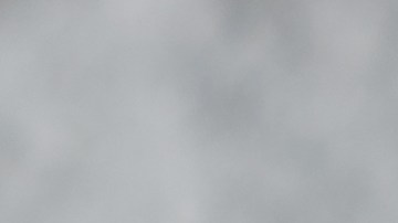 Muslos de pollo glaseados con miel y mostaza