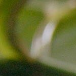 Crédito: Photo © 2023 The Grosby Group Food Division
Chilenitos (Alfajores) con Dos Rellenos
masa
1 huevo
pizca de sal y
ralladura de naranja
1 yema
140 gr harina
amasar y reposar 30 min
laminar y cortar en porciones
hornear 10 min 180º
relleno
2 cucharadas de dulce de leche
2 cucharadas de coco
1 pizca de cacao
rellenar unos con dulce de leche solo
y otros con la mezcla anterior
Alfajores (cookies) with two stuffing
dough
1 egg
pinch of salt and
orange zest
1 egg yolk
1 cup of flour
knead and rest for 30 min.
knead and cut into portions
bake for 10 min at 350ºf.
stuffing
2 tbsp of caramel
2 tbsp of coconut
1 pinch of cocoa
fill some with caramel alone
and others with the above mixture