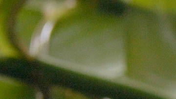 Crédito: Photo © 2023 The Grosby Group Food Division

Chilenitos (Alfajores) con Dos Rellenos  

masa
1 huevo
pizca de sal y 
ralladura de naranja
1 yema
140 gr harina

amasar y reposar 30 min

laminar y cortar en porciones

hornear 10 min 180º

relleno 
2 cucharadas de  dulce de leche
2 cucharadas de coco
1 pizca de cacao

rellenar unos con dulce de leche solo
y otros con la mezcla anterior


Alfajores (cookies) with two stuffing  

dough
1 egg
pinch of salt and 
orange zest
1 egg yolk
1 cup of flour

knead and rest for 30 min.

knead and cut into portions

bake for 10 min at 350ºf.

stuffing
2 tbsp of caramel 
2 tbsp of coconut
1 pinch of cocoa

fill some with caramel alone
and others with the above mixture