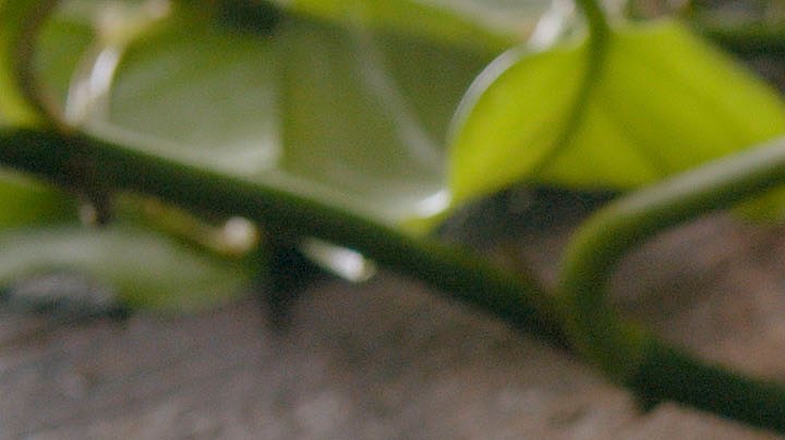 Crédito: Photo © 2023 The Grosby Group Food Division

Chilenitos (Alfajores) con Dos Rellenos  

masa
1 huevo
pizca de sal y 
ralladura de naranja
1 yema
140 gr harina

amasar y reposar 30 min

laminar y cortar en porciones

hornear 10 min 180º

relleno 
2 cucharadas de  dulce de leche
2 cucharadas de coco
1 pizca de cacao

rellenar unos con dulce de leche solo
y otros con la mezcla anterior


Alfajores (cookies) with two stuffing  

dough
1 egg
pinch of salt and 
orange zest
1 egg yolk
1 cup of flour

knead and rest for 30 min.

knead and cut into portions

bake for 10 min at 350ºf.

stuffing
2 tbsp of caramel 
2 tbsp of coconut
1 pinch of cocoa

fill some with caramel alone
and others with the above mixture