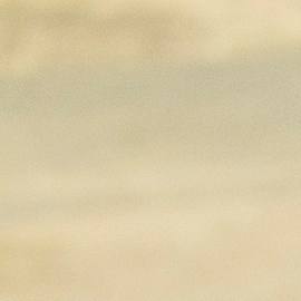 Photo © 2019 The Grosby Group

Chacales