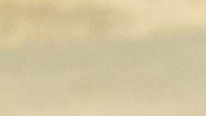 Photo © 2019 The Grosby Group

Chacales