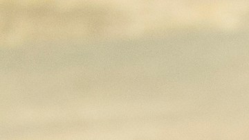 Photo © 2019 The Grosby Group

Chacales