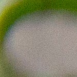 caldo de pollo con tallarines