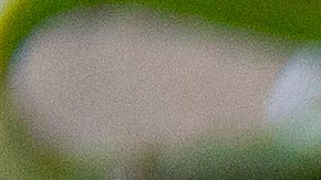 caldo de pollo con tallarines