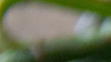 caldo de pollo con tallarines