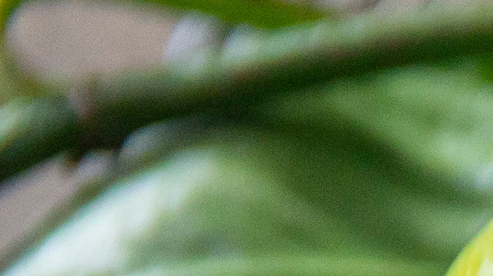 caldo de pollo con tallarines