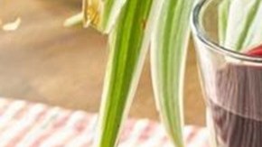 callos a la madrileña