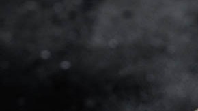 empanadillas chinas de calamares