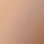 endivias al horno con jamón