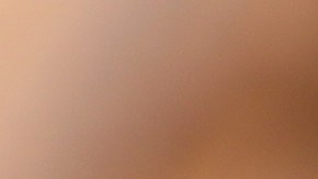 endivias al horno con jamón