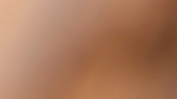 endivias al horno con jamón