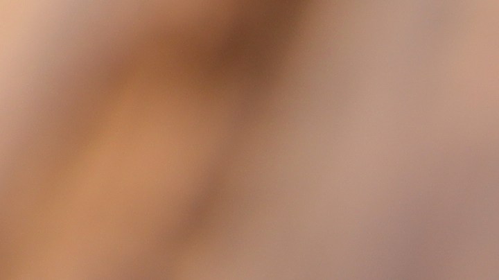 endivias al horno con jamón