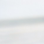 Endivias con anchoas y queso