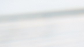 Endivias con anchoas y queso