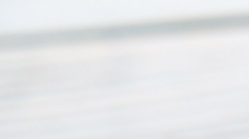 Endivias con anchoas y queso