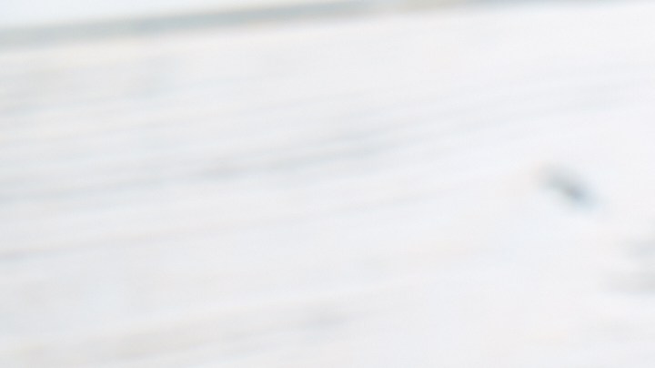 Endivias con anchoas y queso