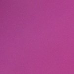 Endivias con salmón