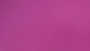 Endivias con salmón