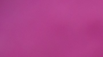 Endivias con salmón