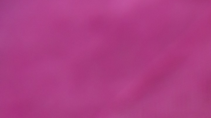 Endivias con salmón