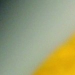 Ensalada de palmitos con aguacate