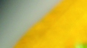 Ensalada de palmitos con aguacate