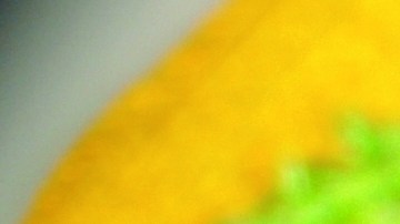 Ensalada de palmitos con aguacate