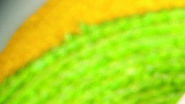 Ensalada de palmitos con aguacate