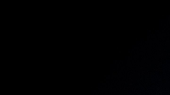 Plato de flan de frutos rojos