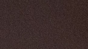 Flan de te verde matcha