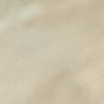 arroz con leche especiado