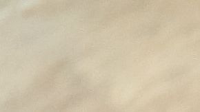 arroz con leche especiado