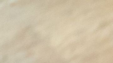 arroz con leche especiado