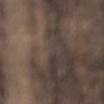 Muslos de pollo en salsa de cebolla caramelizada