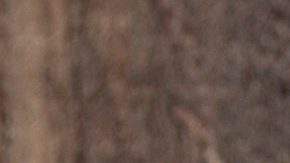 Muslos de pollo en salsa de cebolla caramelizada