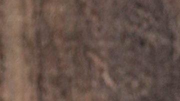 Muslos de pollo en salsa de cebolla caramelizada