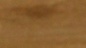 endivias con roquefort y nueces