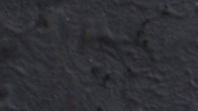 Halibut con salsa de mantequilla y limón